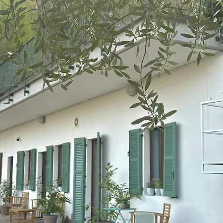Roof Garden *