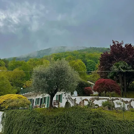 Roof Garden *