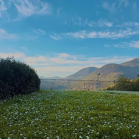Roof Garden Apartment